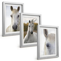 BILDER SET 3er Set - 20x30 cm Silberner Rahmen - Weiße Pferde in der Natur - Silberfarben, Kunststoff (20/30cm) - TULUP
