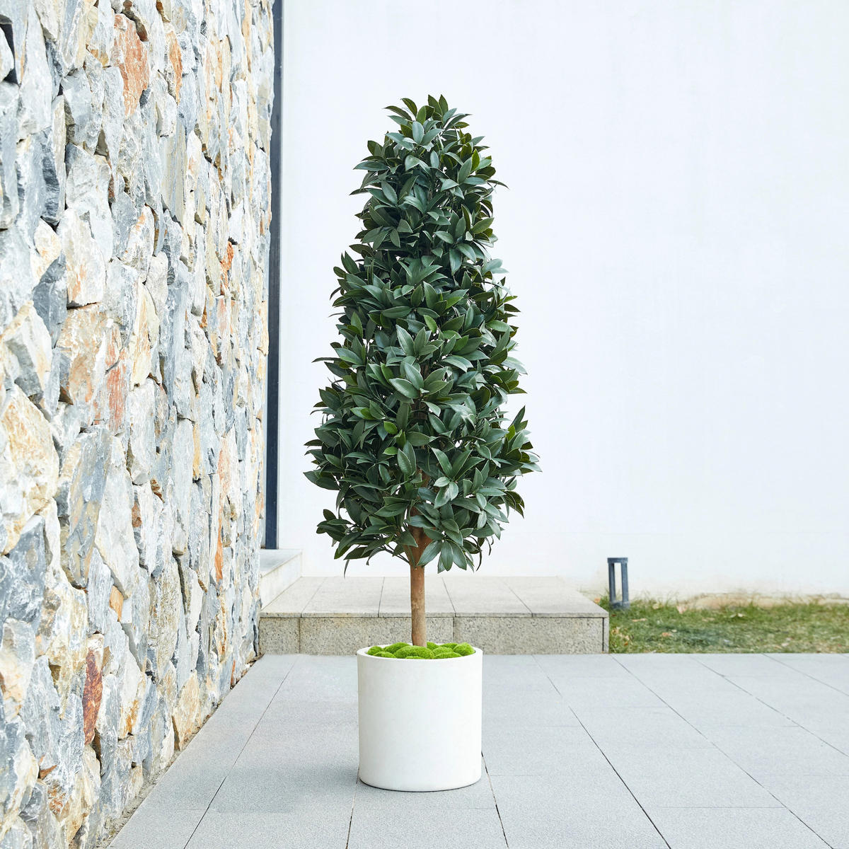 KUNSTBAUM Künstlicher Lorbeerbaum – Alarion 150 cm - Grün, Kunststoff (150cm) - aplanta