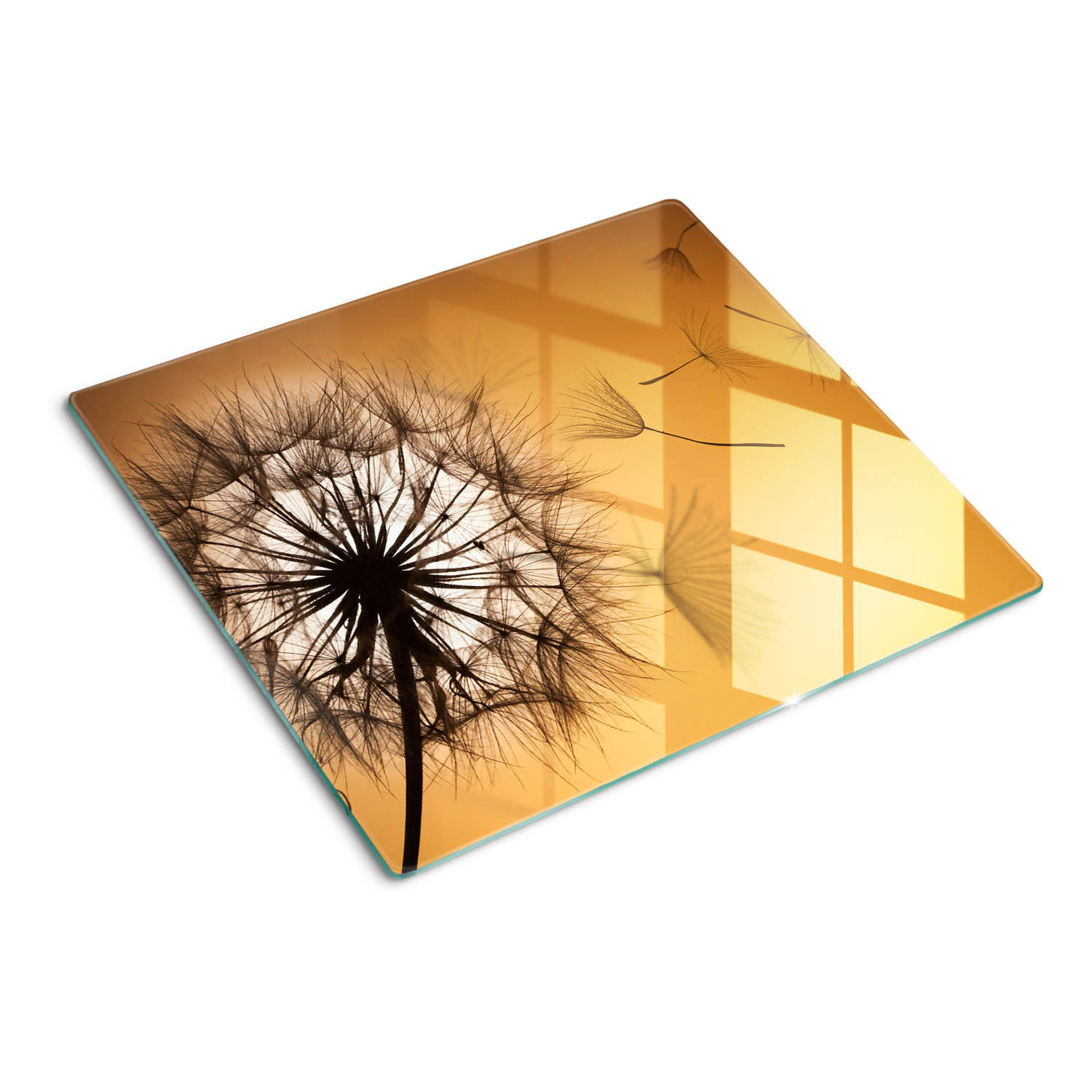 GLASPLATTE 60x52 cm Löwenzahn - Orange, Glas (60/0.4/52cm) - TULUP