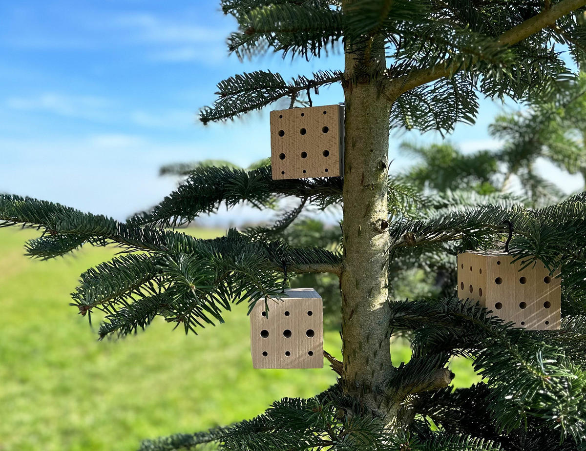 INSEKTENHOTEL klein aus Buche-Holz, 3er Set, hängend - Braun, Holz (8.3/12.2/8.3cm) - WONDERMAKE