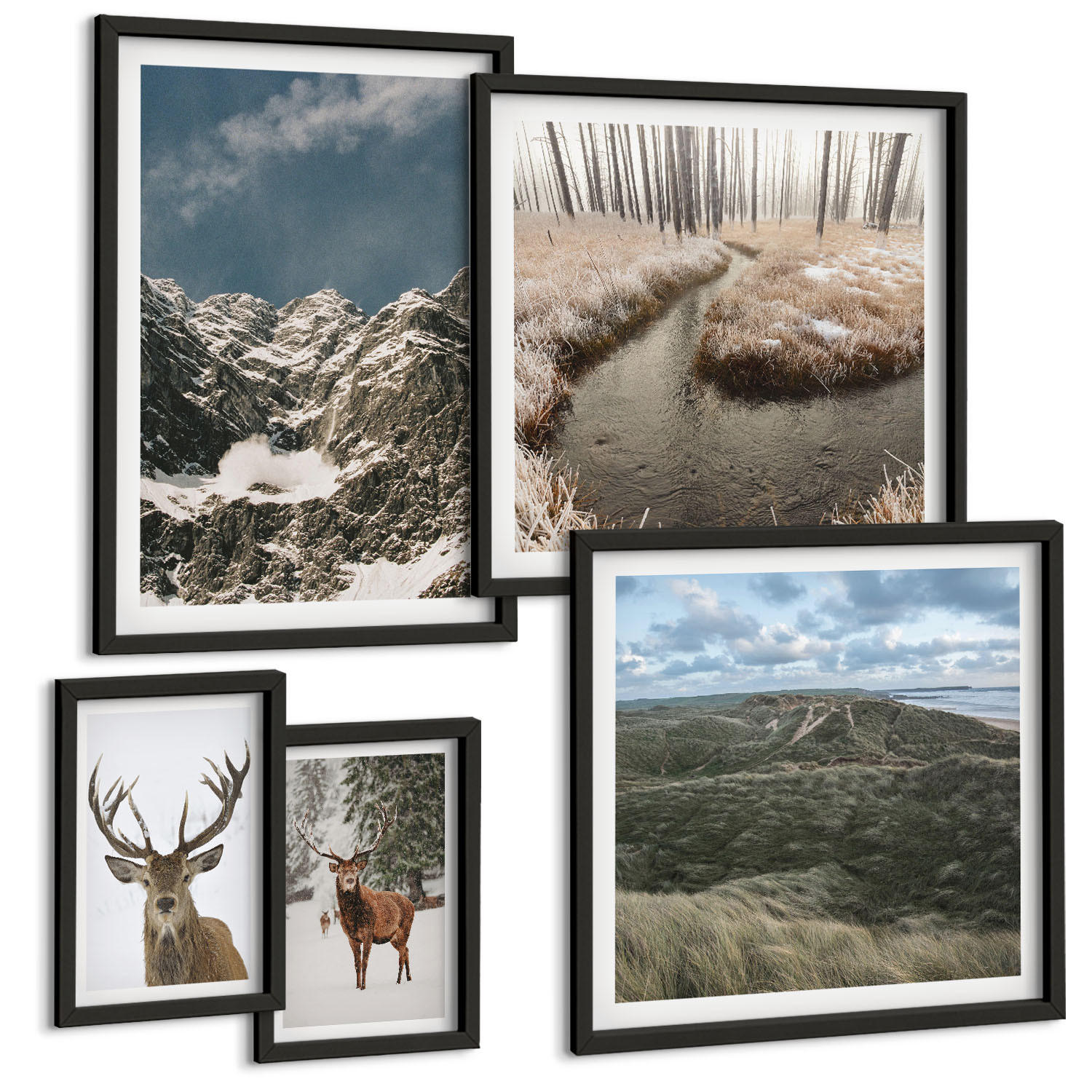 BILDER SET 5er Set - 50x50 cm & 20x30 cm & 40x60 cm Schwarzer Rahmen - Berge, Schnee, Hirsche, Waldlandschaft - Schwarz, Kunststoff (40/60cm) - TULUP