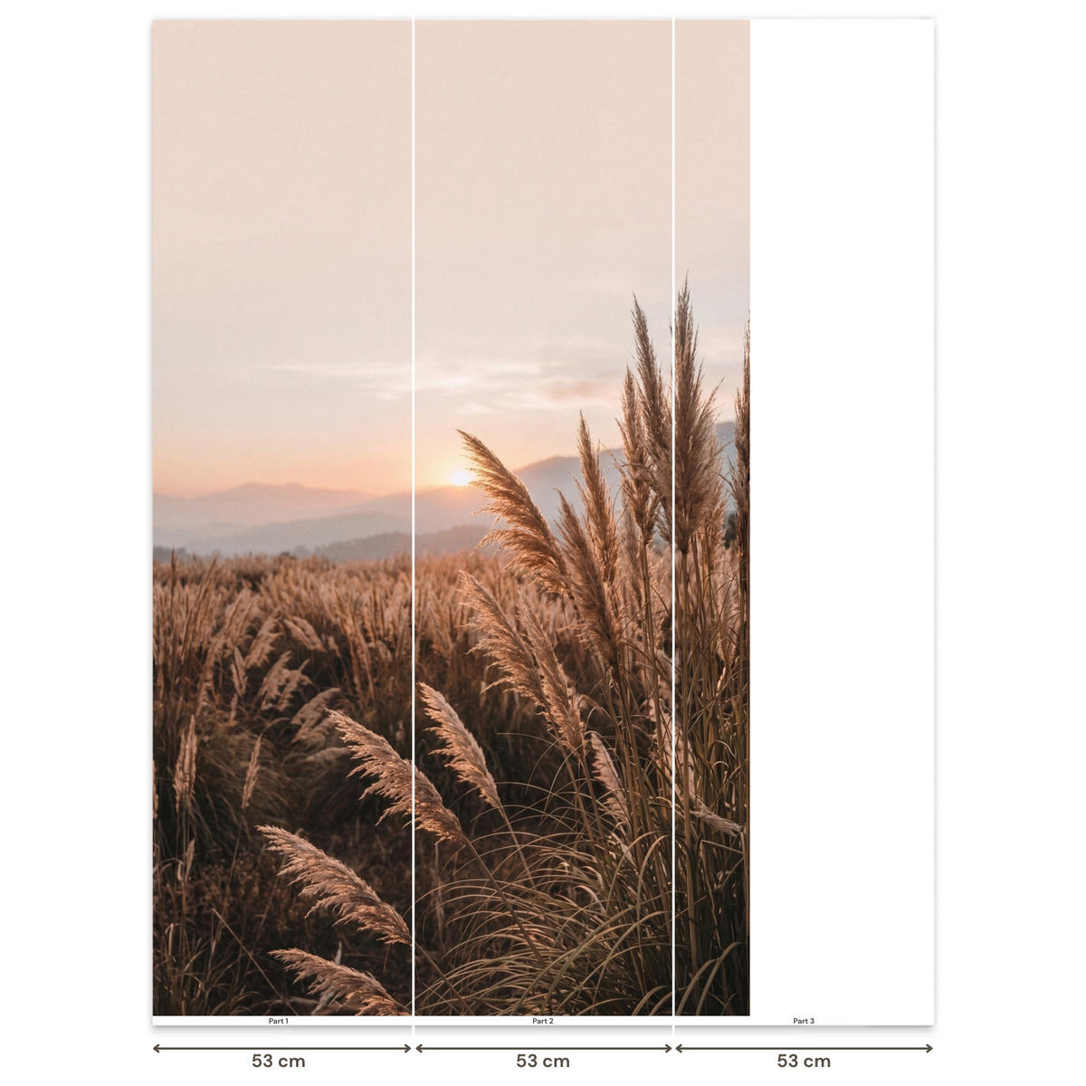 TAPETE - Gras - Feld - Sonne - Natur - 120x200 cm - Sandfarben, Papier (120/200cm) - OnlyWow