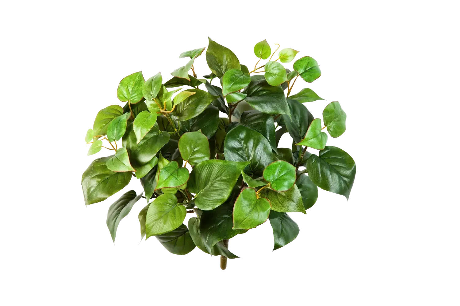 KUNSTPFLANZE Künstliche Monstera - Joe - Grün, Kunststoff (40cm) - aplanta