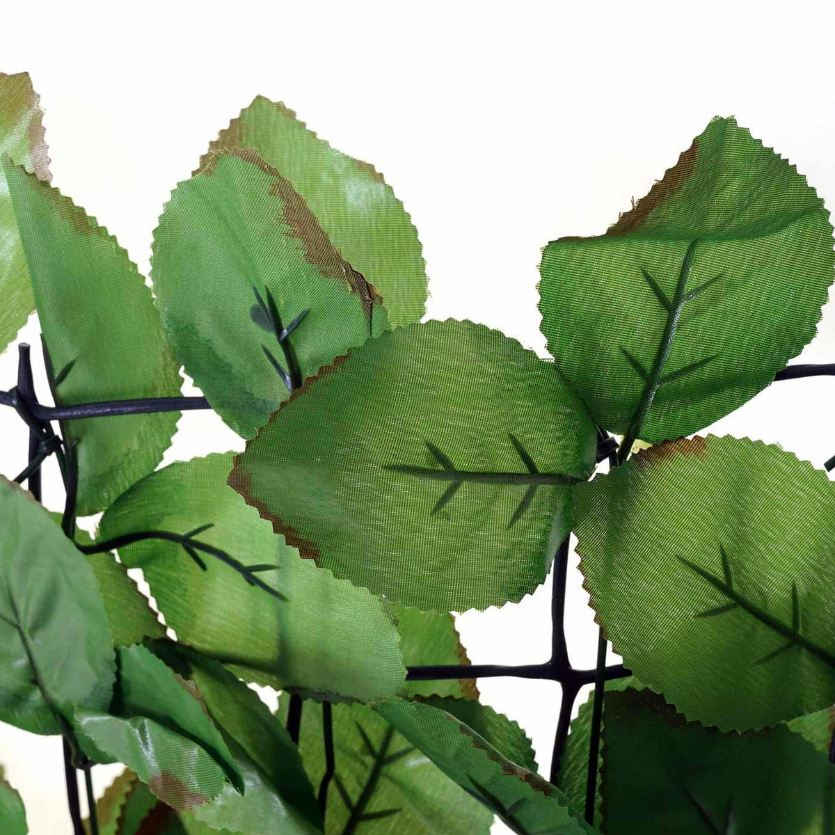 BALKONSICHTSCHUTZ BUCHE I Hellgrün - Hellgrün, Textil (300/100cm) - MCW