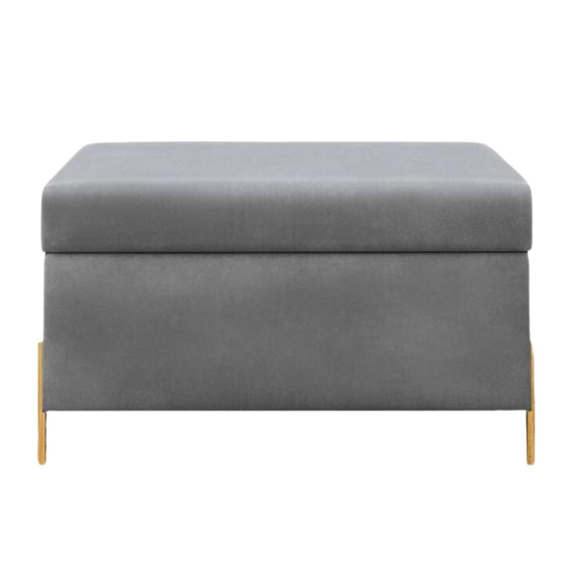 HOCKERBANK Borgo Mit Stauraum, Samt Hell Grau, Metal Gold - Goldfarben/Hellgrau, Holzwerkstoff/Metall (80/46/37cm) - Dancan