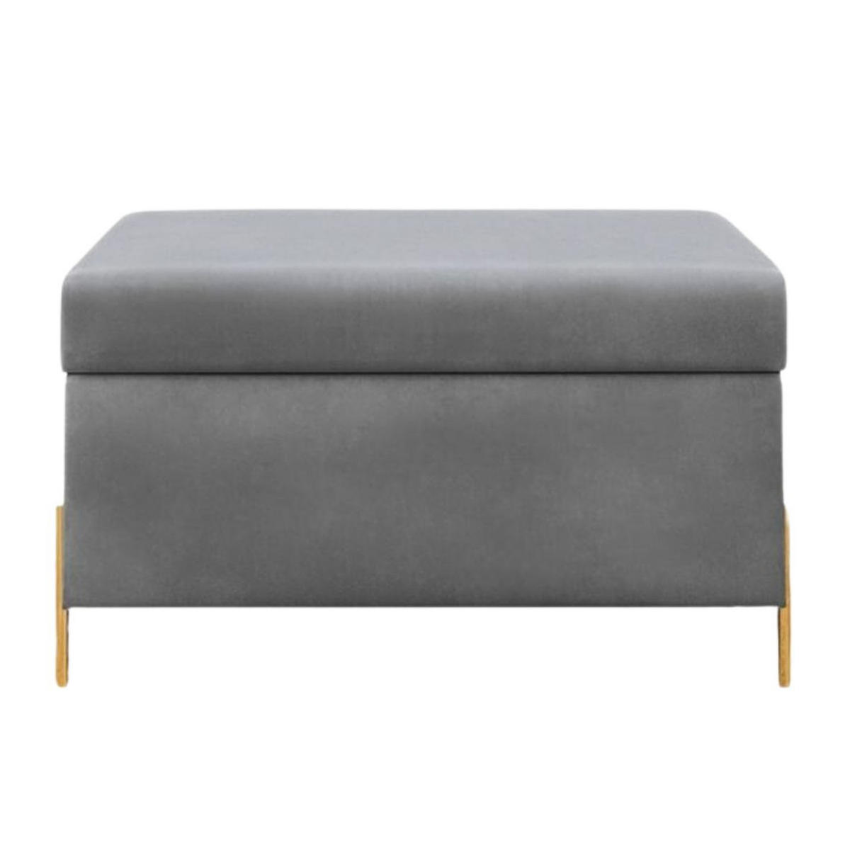 HOCKERBANK Borgo Mit Stauraum, Samt Hell Grau, Metal Gold - Goldfarben/Hellgrau, Holzwerkstoff/Metall (80/46/37cm) - Dancan