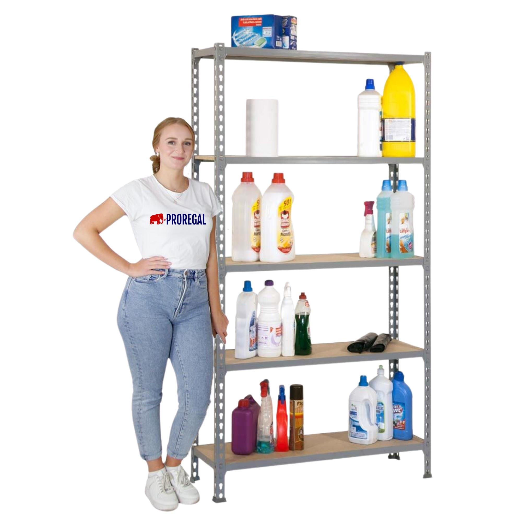 SCHWERLASTREGAL Big Muli HxBxT 200 x 110 x 50 cm 5 Fachböden Fachlast 200 kg Verzinkt - Silberfarben, Metall (110/200/50cm) - PROREGAL