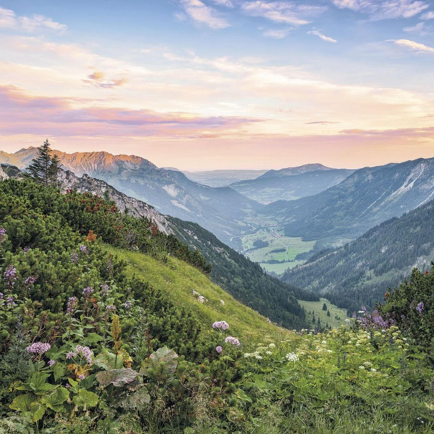 FOTOTAPETE alpine Landschaft 400 x 250 cm - Grün, Papier (400/250cm) - Sanders & Sanders