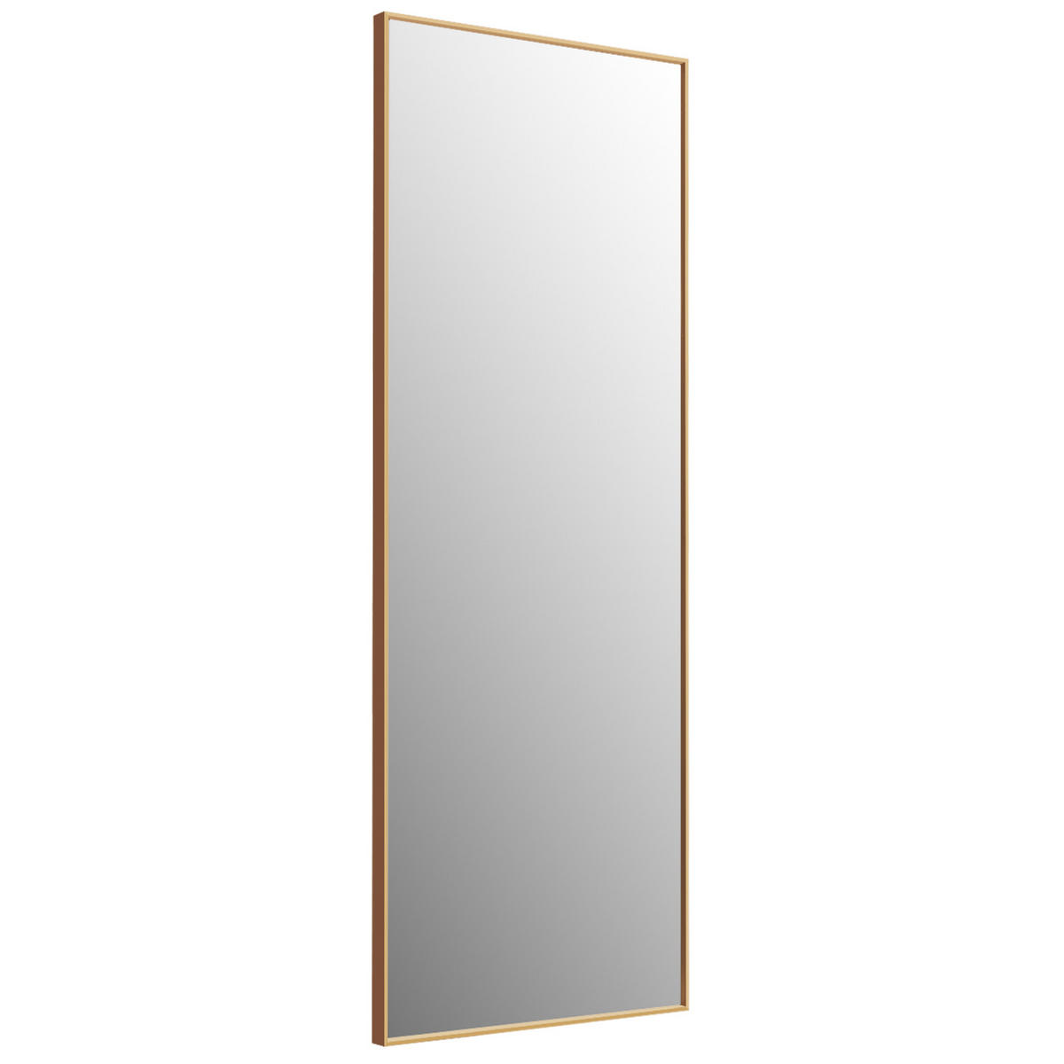 GANZKÖRPERSPIEGEL Gold - Goldfarben, Metall (4/150/56cm) - COSTWAY