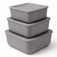 VORRATSDOSEN 3-teilig 0,5L/1L/1,5L Grau - Grau, Kunststoff - ProHome