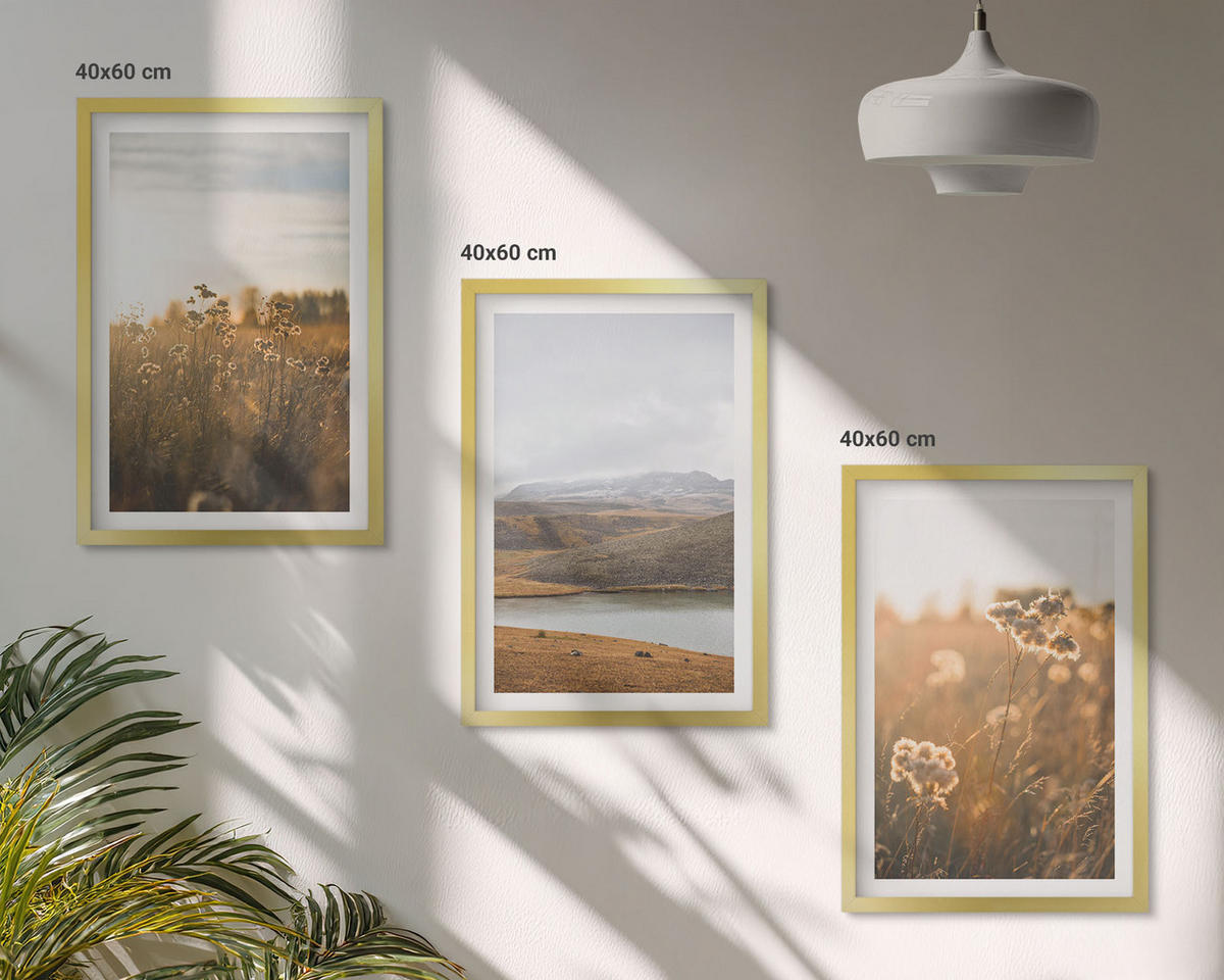 BILDER SET 3er Set - 40x60 cm Goldrahmen - Landschaften Wiesen Berge See - Goldfarben, Kunststoff (40/60cm) - TULUP
