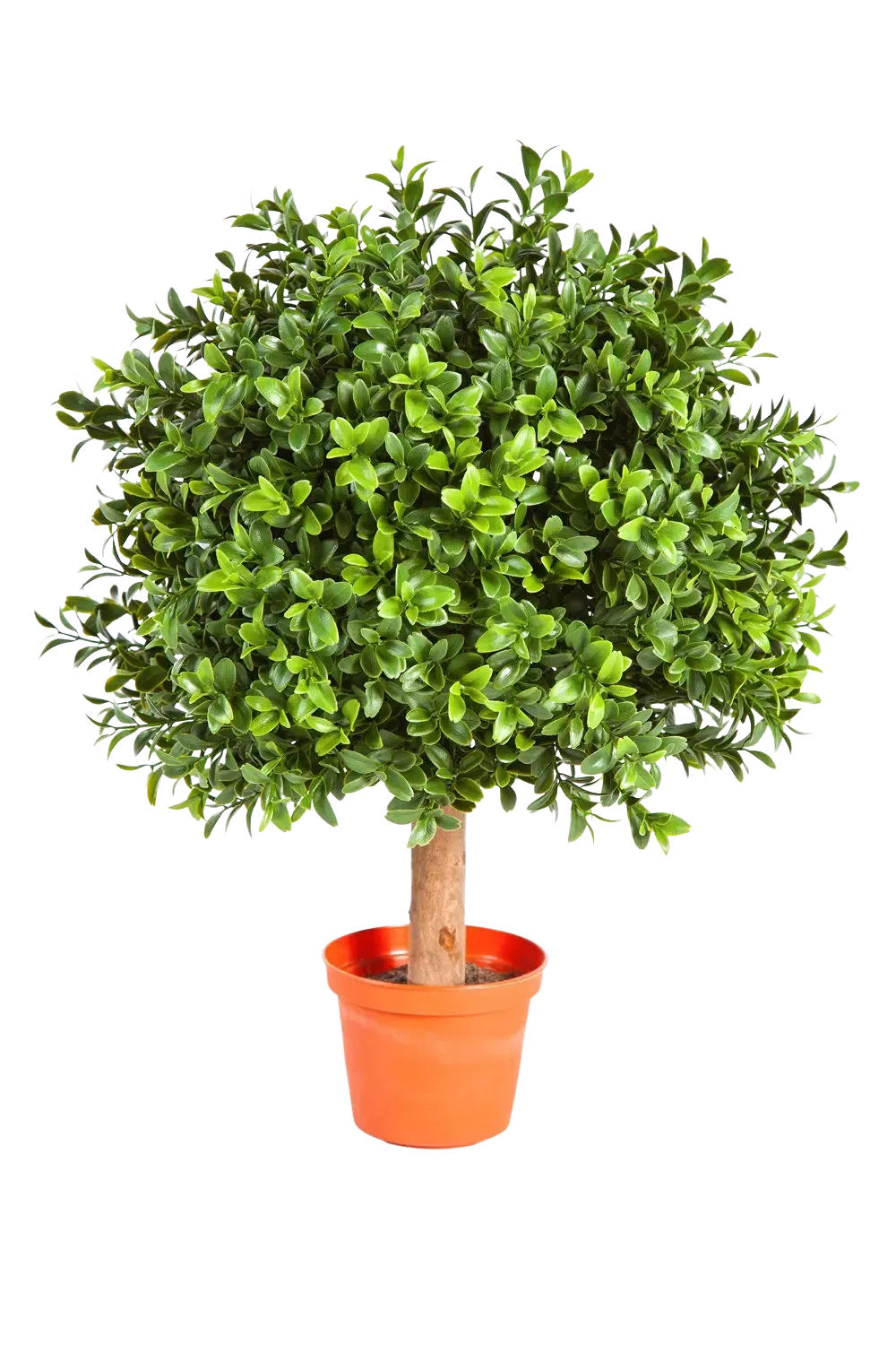 KUNSTBAUM Künstlicher Buchsbaum - Rico 40 cm - Naturfarben, Kunststoff (40cm) - aplanta