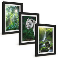 BILDER SET 3er Set - 20x30 cm Schwarzer Rahmen - Dschungeltigerwasserfall - Schwarz, Kunststoff (20/30cm) - TULUP