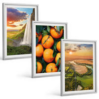 BILDER SET 3er Set - 40x60 cm Silberner Rahmen - Orange Mountain Wasserfall - Silberfarben, Kunststoff (40/60cm) - TULUP
