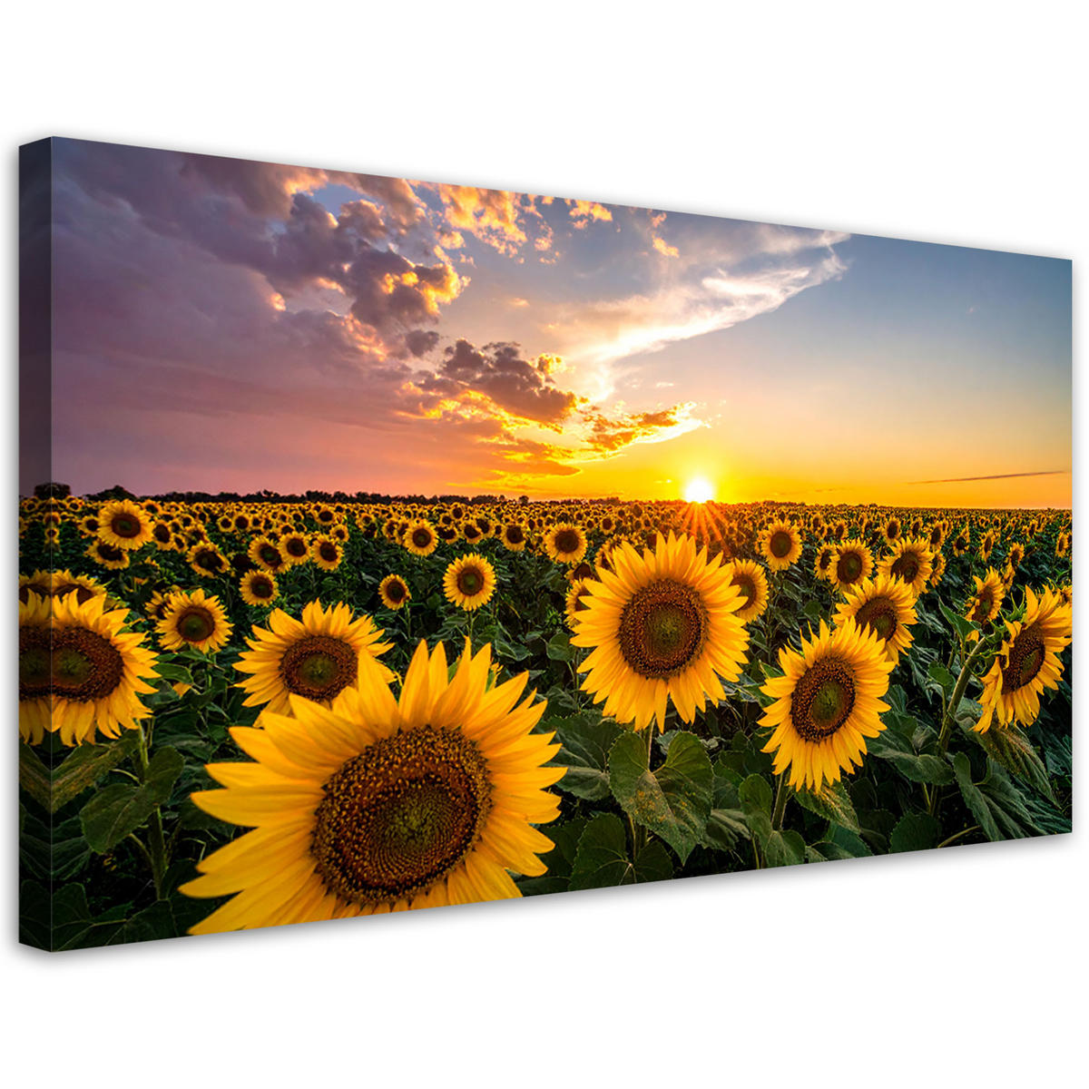 LEINWANDBILD Landschaften 120x60cm - Gelb, Textil (120/60cm) - Feeby