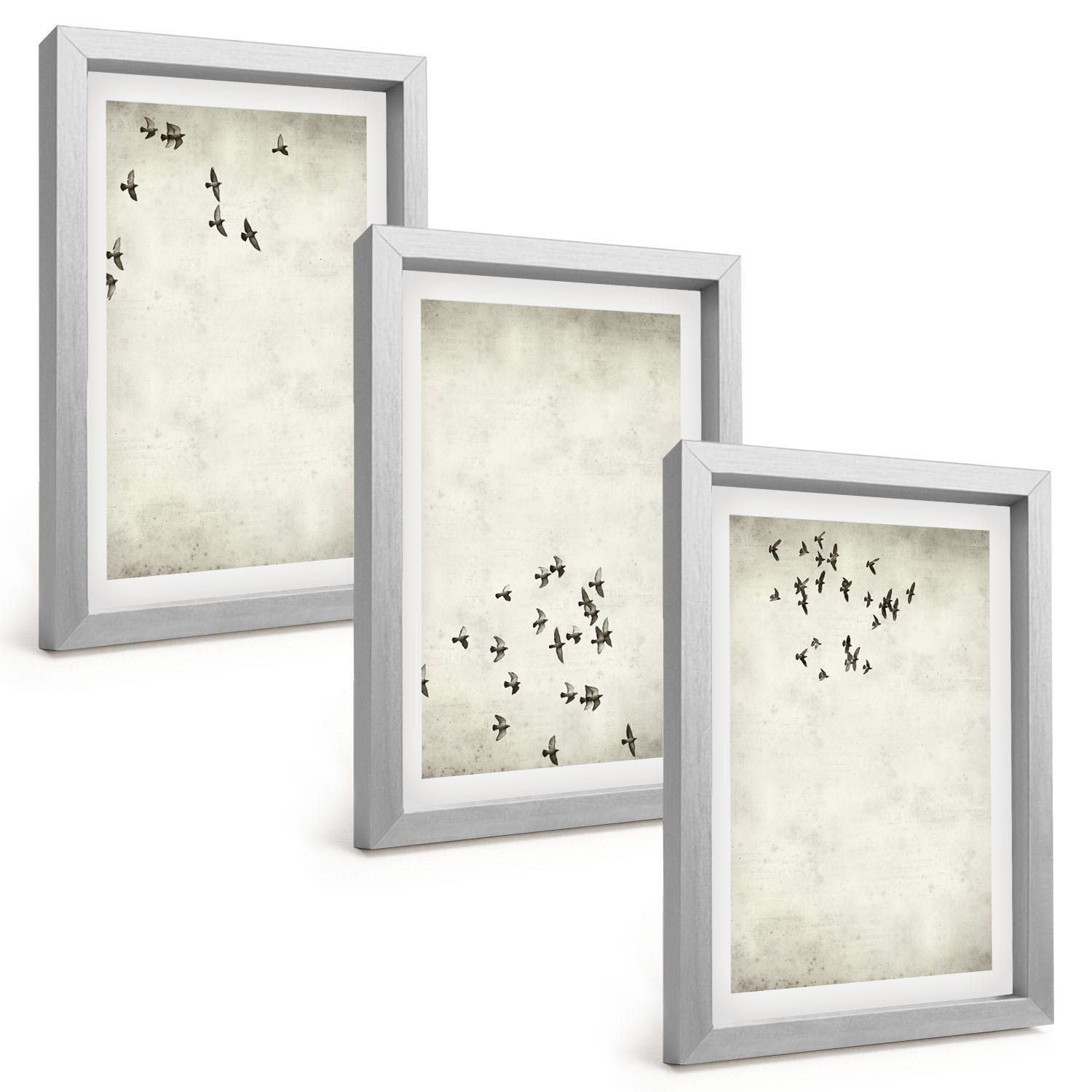 BILDER SET 3er Set - 20x30 cm Silberner Rahmen - Minimalistische Vogelmalerei - Silberfarben, Kunststoff (20/30cm) - TULUP