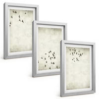 BILDER SET 3er Set - 20x30 cm Silberner Rahmen - Minimalistische Vogelmalerei - Silberfarben, Kunststoff (20/30cm) - TULUP