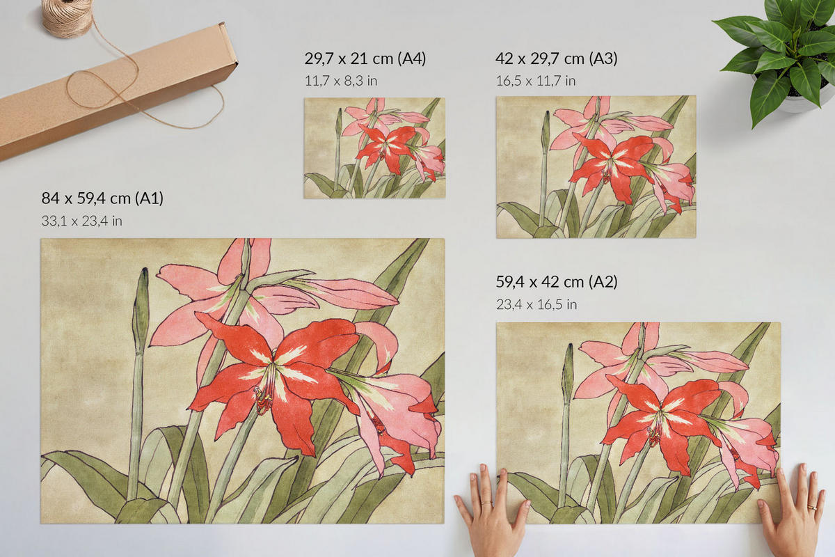 POSTER - 42x29 cm (A3) - Hannah Borger Overbeck - Amaryllis - Grün, Textil (42/29.7/0.1cm) - TULUP