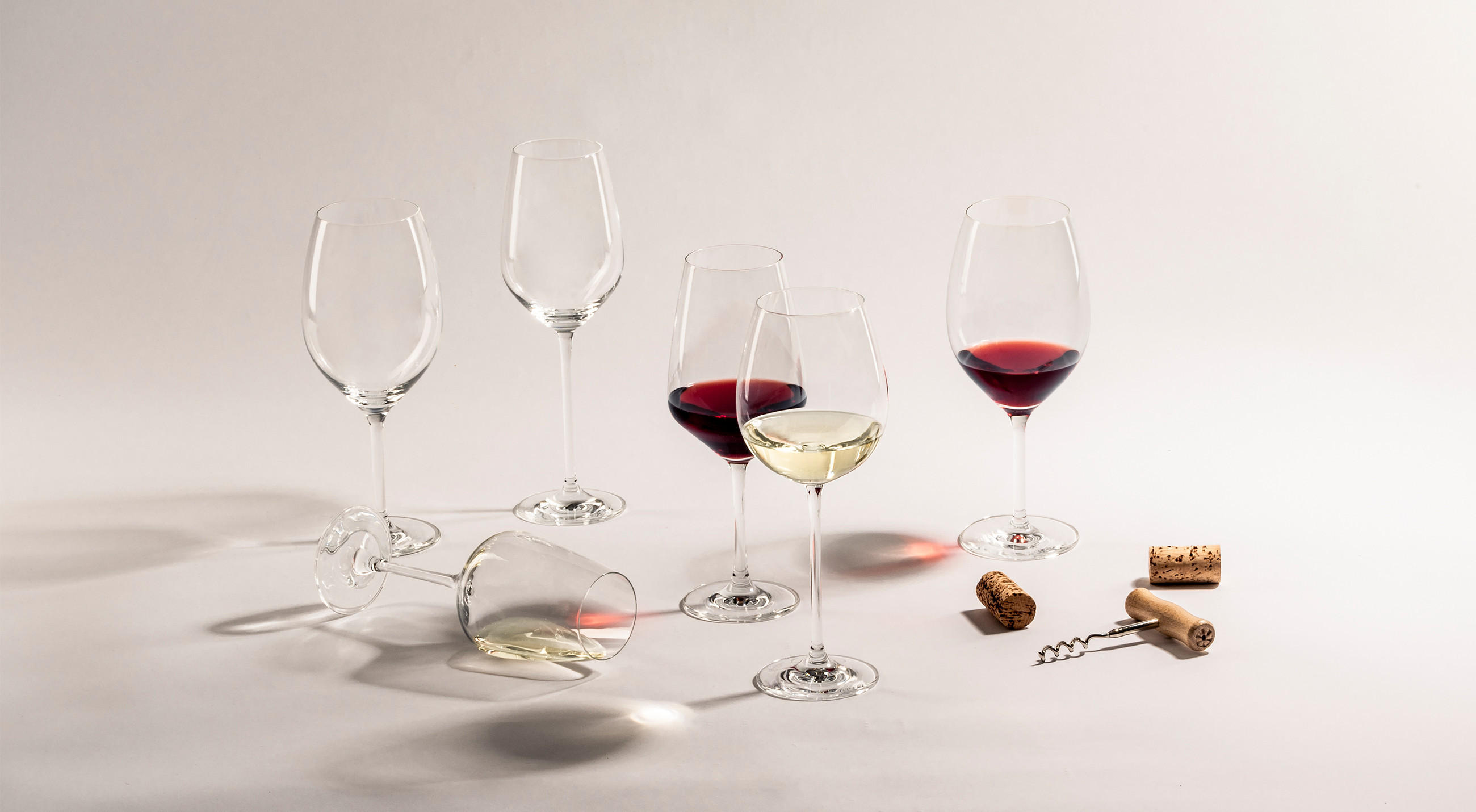 Schott Zwiesel online entdecken