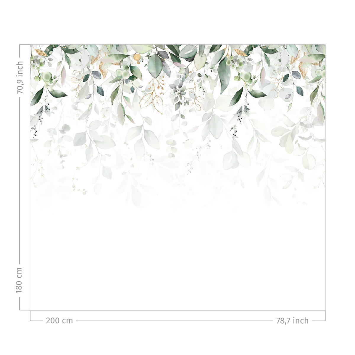 DUSCHVORHANG Rankende Eukalyptuszweige Aquarell 200/180 cm - Grün, Textil (200/180cm) - Bilderwelten