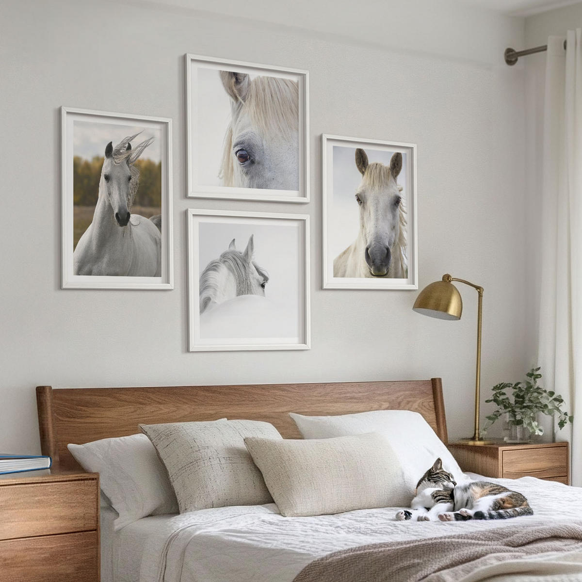 WANDBILDER 4er-Set - 50x50 cm & 40x60 cm Weißer Rahmen - Weiße Pferde - Weiß, Kunststoff (50/50cm) - ArtPrintCave