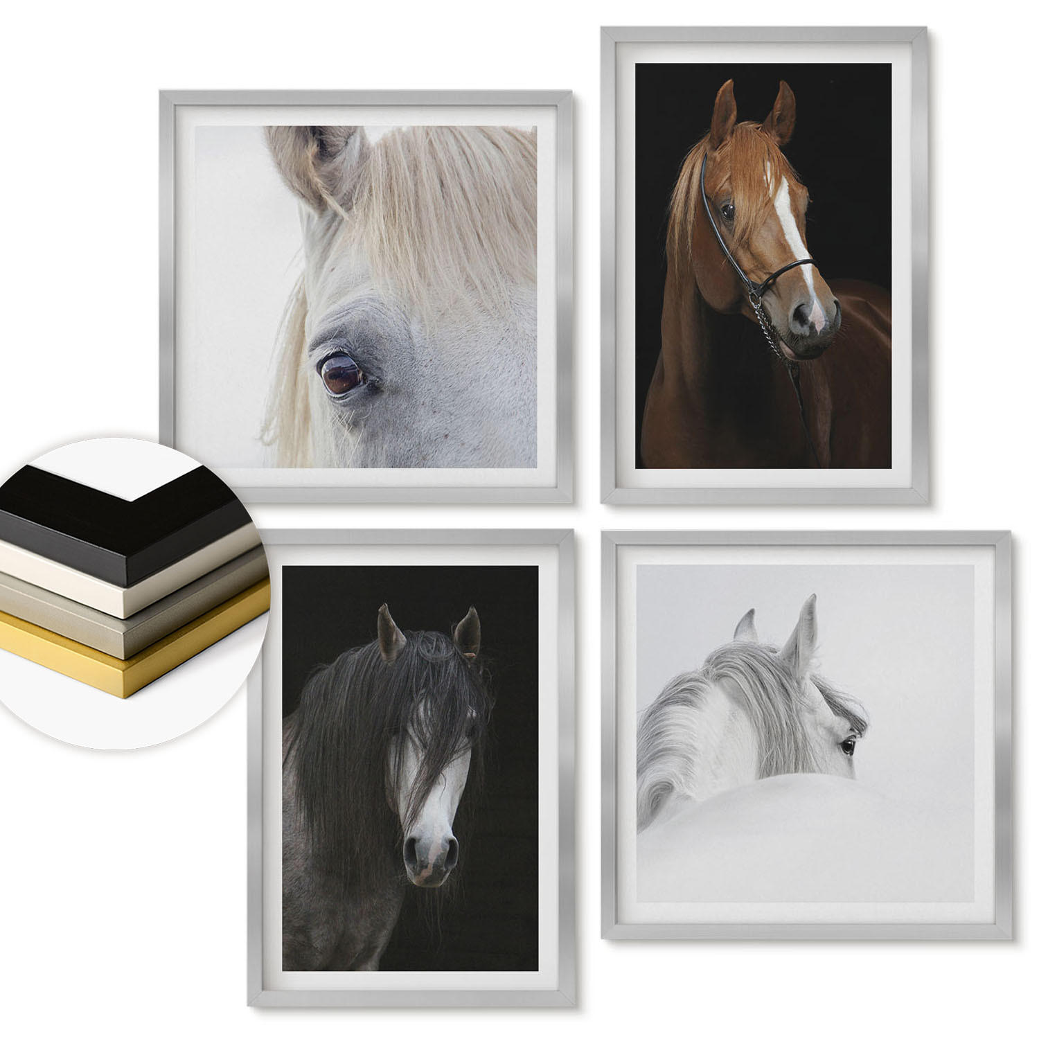 WANDBILDER 4er Set - 50x50 cm & 40x60 cm Silberner Rahmen - Pferdeporträts in Schattierungen - Silberfarben, Kunststoff (50/50cm) - ArtPrintCave