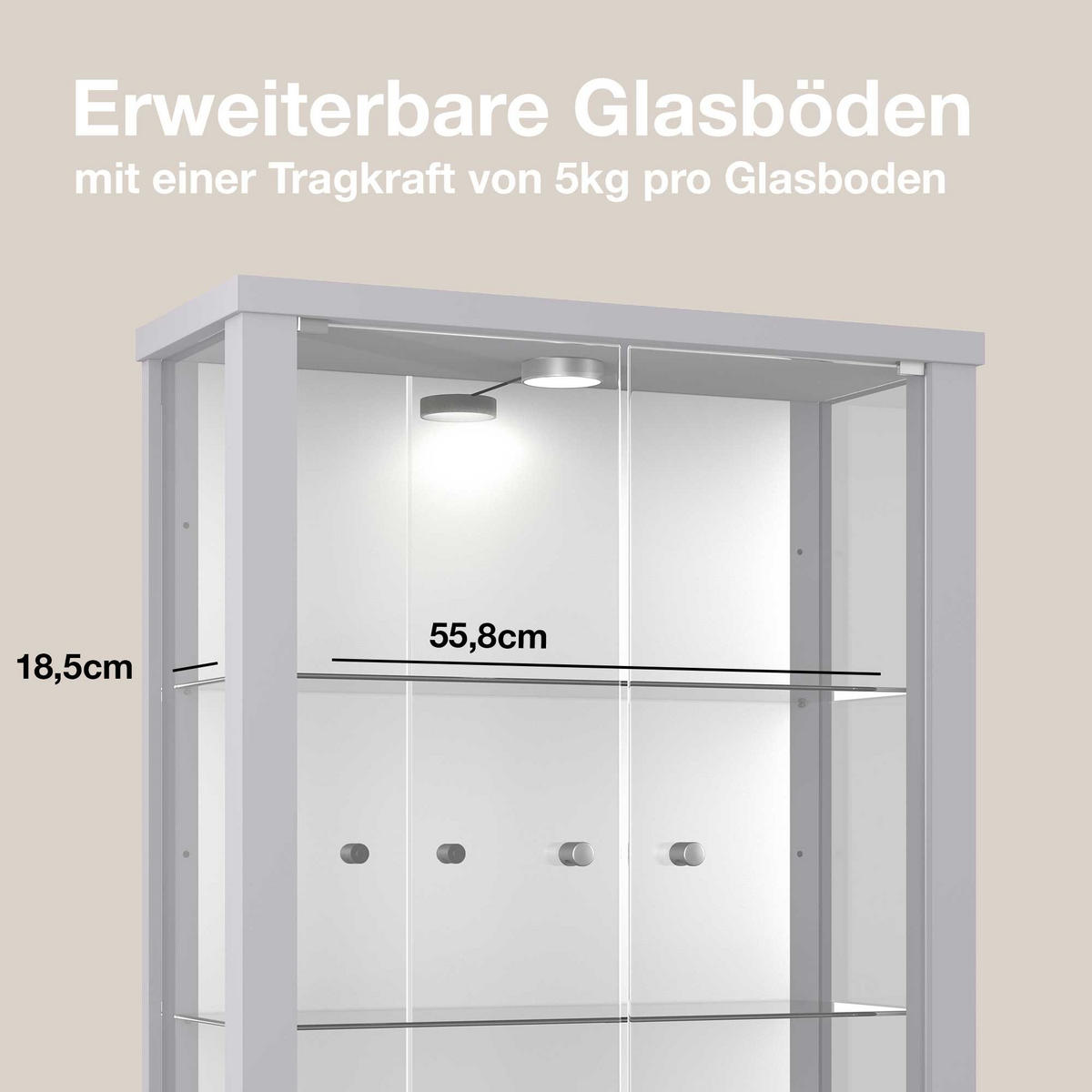 HÄNGEVITRINE 25/60/80 cm mit Spiegel, LED & 2 höhenverstellbaren Glasböden - Transparent/Silberfarben, Glas/Holzwerkstoff (60/80/25cm) - K-Möbel