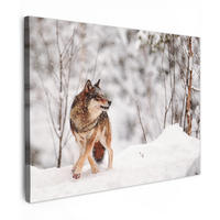LEINWANDBILD Wolf - Winter - Schnee - Natur - Tiere 40x30 cm - Haselnussfarben, Textil (40/30cm) - MuchoWow