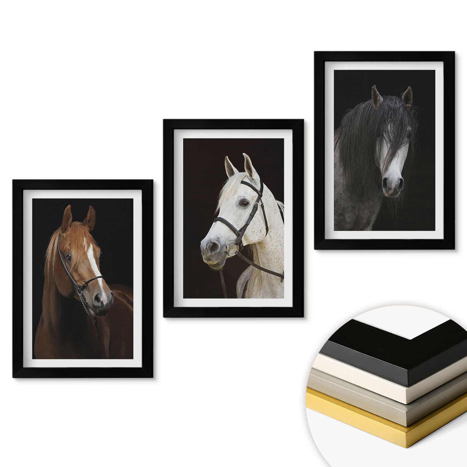 WANDBILDER 3er-Set - 20x30 cm Schwarzer Rahmen - Porträts von Pferden in verschiedenen Fellfarben - Schwarz, Kunststoff (20/30cm) - ArtPrintCave