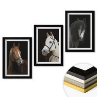 WANDBILDER 3er-Set - 20x30 cm Schwarzer Rahmen - Porträts von Pferden in verschiedenen Fellfarben - Schwarz, Kunststoff (20/30cm) - ArtPrintCave