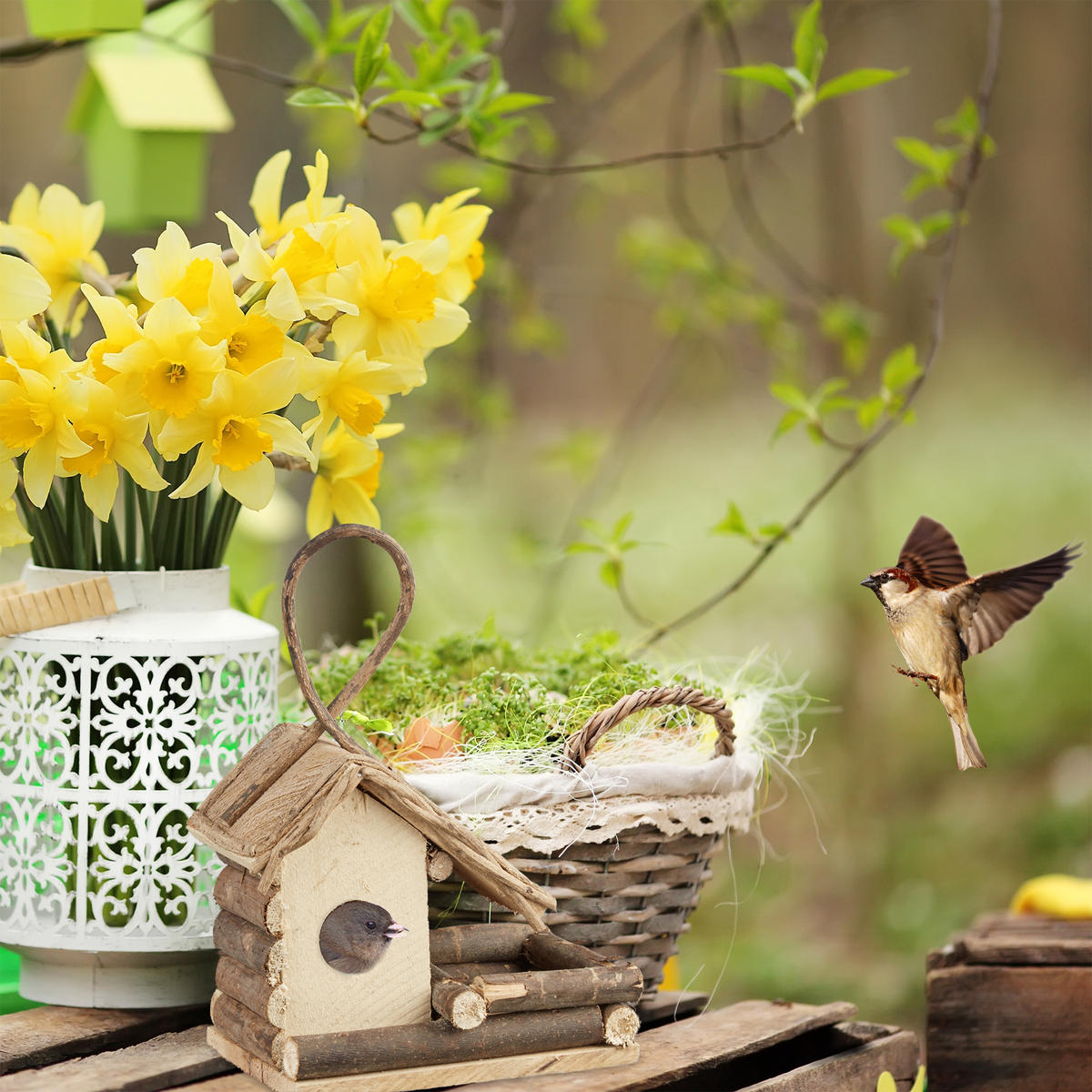 VOGELHAUS Deko - Hellbraun, Holz (20/29/12cm) - Relaxdays