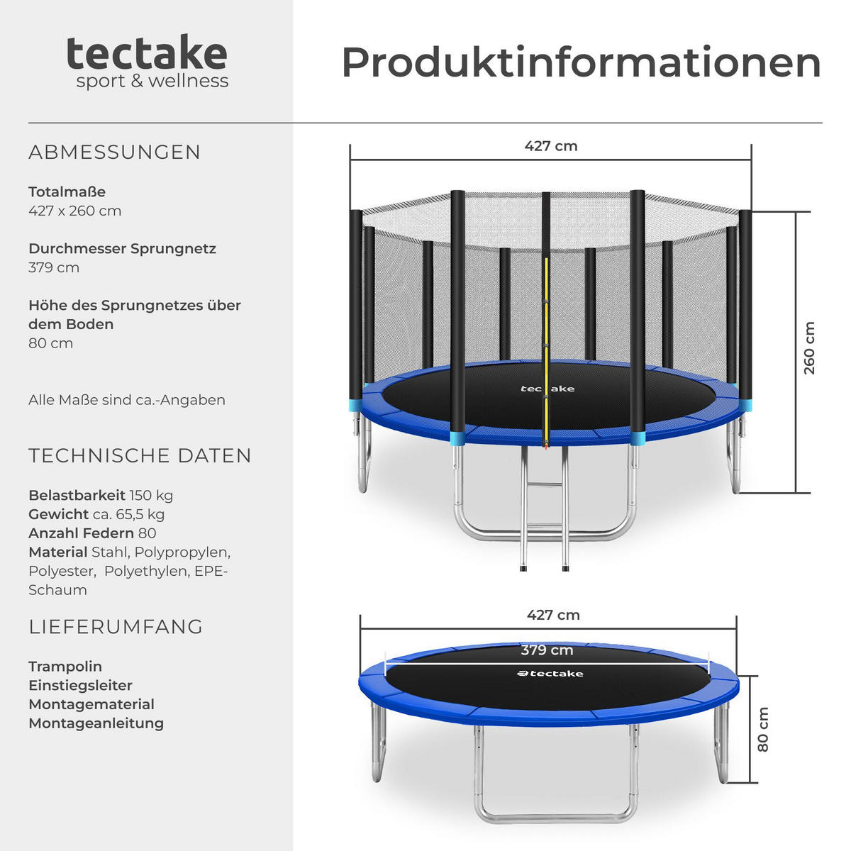TRAMPOLIN Garfunky, inklusive Einstiegsleiter, schwarz/blau - Blau/Schwarz, Metall (427/260/427cm) - tectake