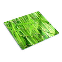 GLASPLATTE 60x52 cm Bambus - Grün, Glas (60/0.4/52cm) - TULUP