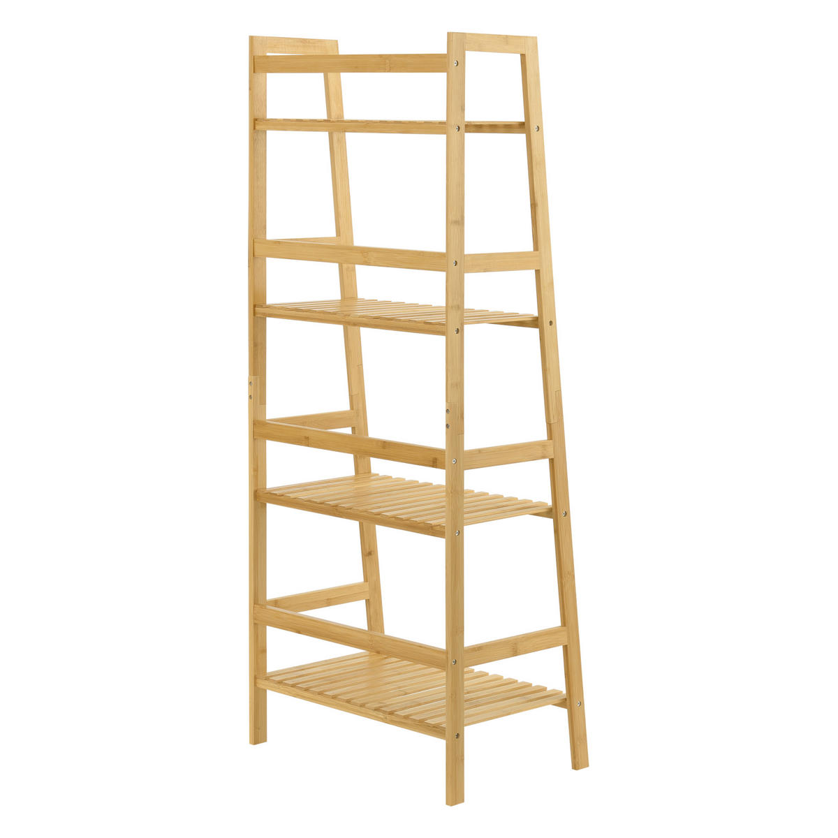 LEITERREGAL Vinje - Naturfarben, Holz (48/123/32cm) - [en.casa]