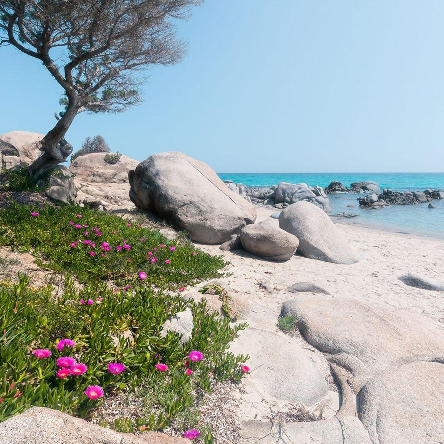 FOTOTAPETE Strand-Motiv 450 x 280 cm - Multicolor, Papier (450/280cm) - Sanders & Sanders
