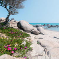 FOTOTAPETE Strand-Motiv 450 x 280 cm - Multicolor, Papier (450/280cm) - Sanders & Sanders