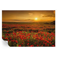FOTOTAPETE 152x104 cm - Mohnfeld - Rot, Textil (152/104cm) - Wallfluent