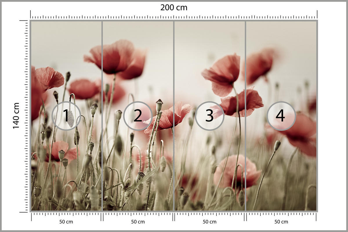 FOTOTAPETE für Wohnzimmer Zarte Mohn Blumen Wiese Rot 200x140 - Beige/Rot, Papier (200/140cm) - Muralo