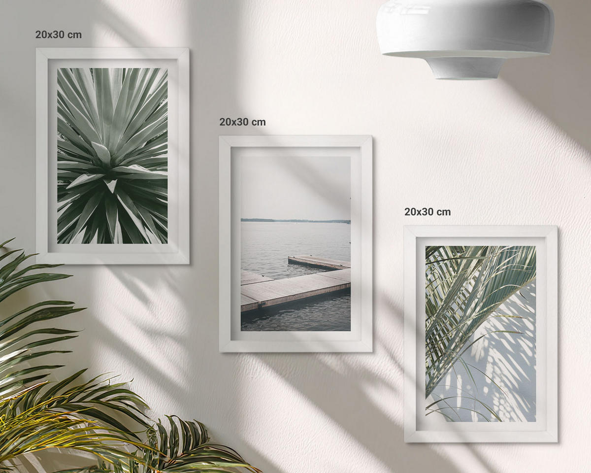WANDBILDER 3er-Set - 20x30 cm Weißer Rahmen - Palmenblätter-Holzbrücke - Weiß, Kunststoff (20/30cm) - ArtPrintCave