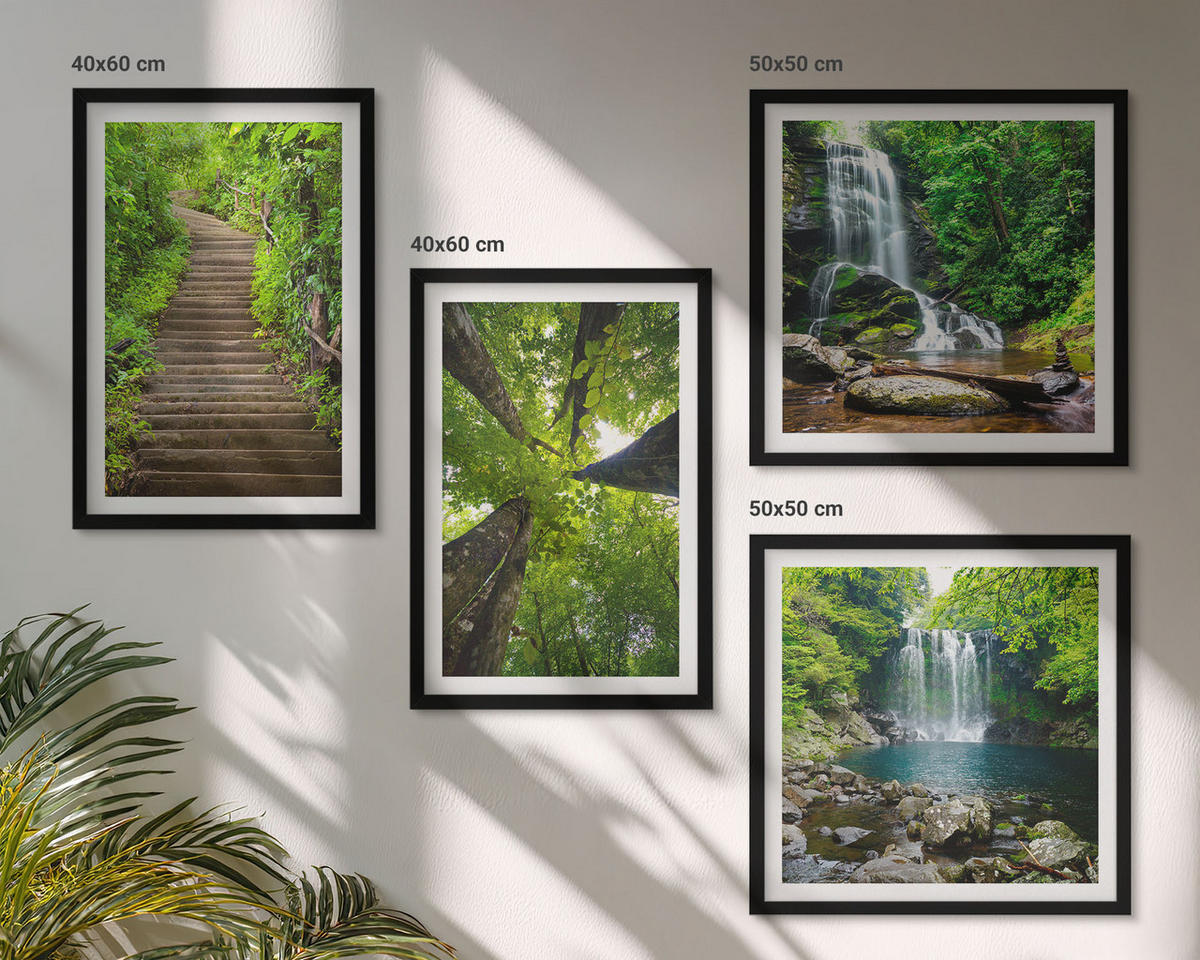 WANDBILDER 4er-Set - 50x50 cm & 40x60 cm Schwarzer Rahmen - Pfad Wald Wasserfall Vegetation - Schwarz, Kunststoff (50/50cm) - ArtPrintCave