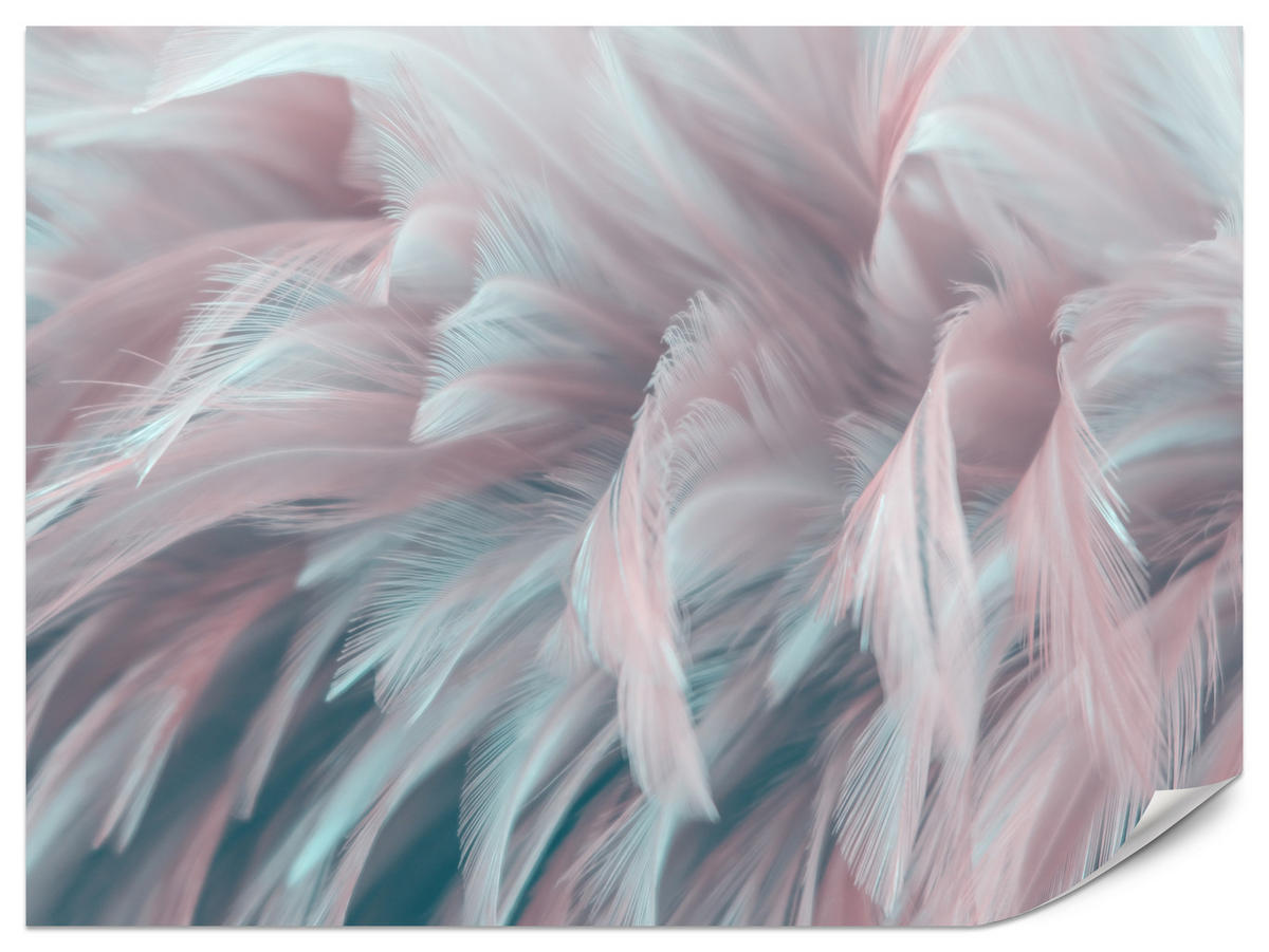 FOTOTAPETE für Schlafzimmer Pastell Federn Zart Rosa Blau 250x175 - Blau/Violett, Papier (250/175cm) - Muralo
