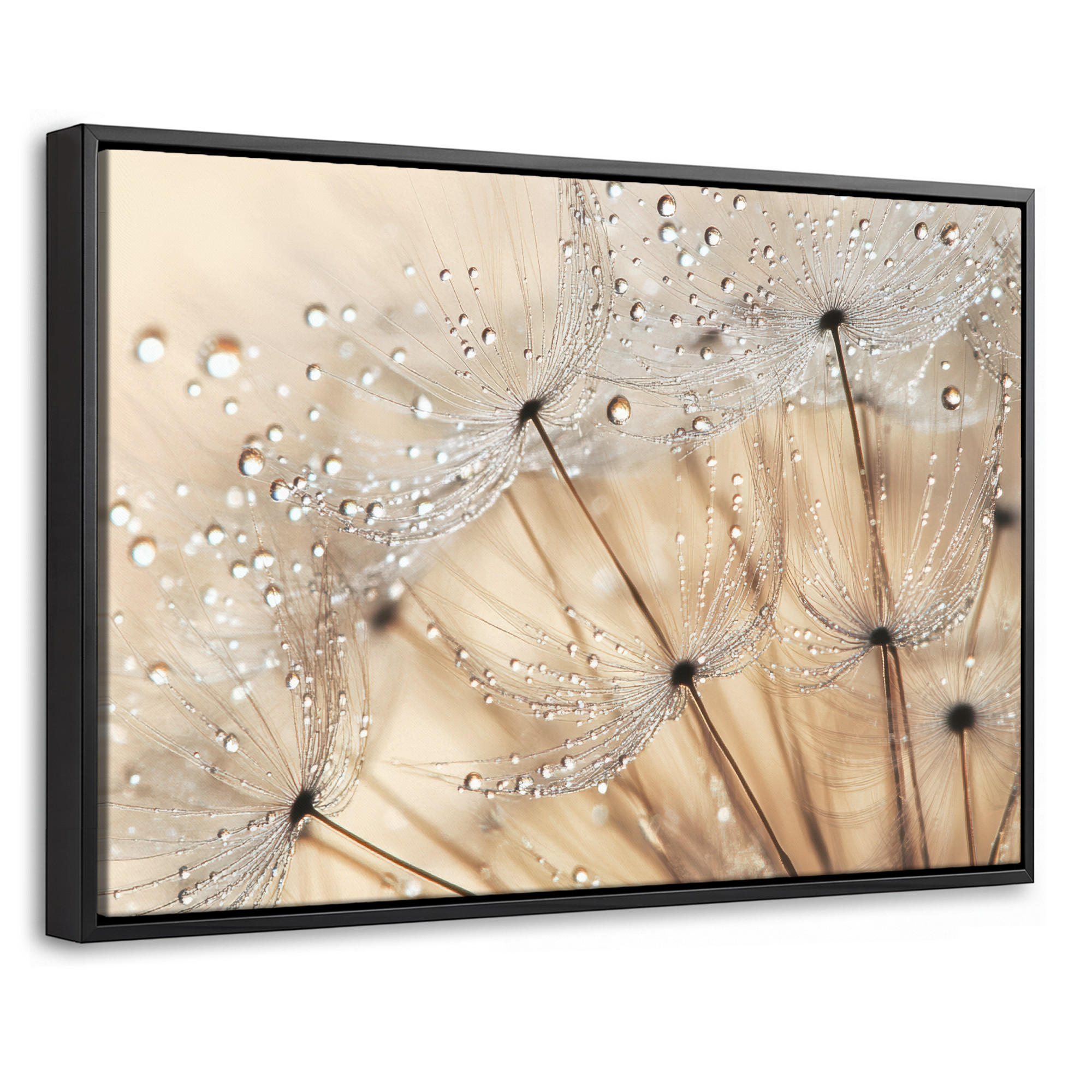 LEINWAND Bilder mit Rahmen - Löwenzahn - Abstrakt - Natur - Beige - 60x40 - Braun, Textil (60/40cm) - MuchoWow