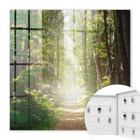 SCHLÜSSELBOX Weiß 30x30 cm – Türöffnung nach rechts - Waldlandschaft - Grün, Metall (30/30/5cm) - TULUP