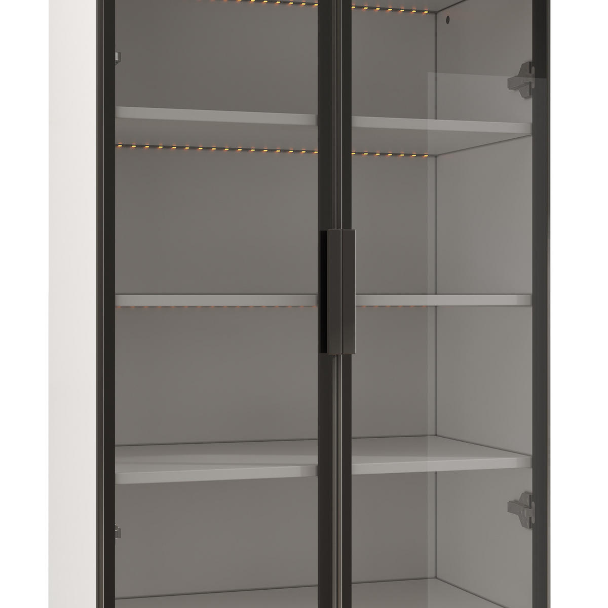VITRINE LED Rauchglas Aluminiumrahmen 160cm 2 Türen Bücherregal - Weiß, Glas (120/160/40cm) - FLIEKS