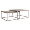 COUCHTISCH-SET Dual Cashmere - Kaschmir/Hellbraun, Holzwerkstoff/Metall (76/76/39cm) - MIRJAN24