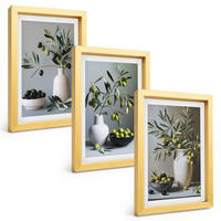BILDER SET 3er Set - 20x30 cm Goldrahmen - Oliven in schlichten Vasen - Goldfarben, Kunststoff (20/30cm) - TULUP