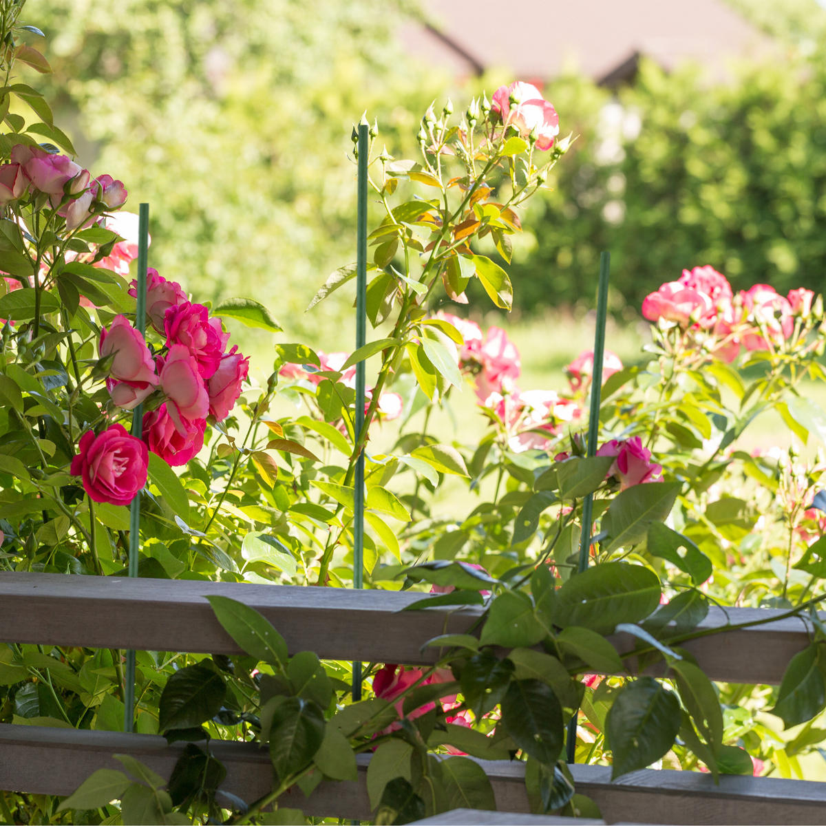 10XPFLANZSTÄBE - Dunkelgrün, Kunststoff/Metall (1/120/1cm) - Relaxdays