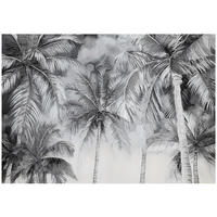FOTOTAPETE Schwarz Weiß Palmen Natur Wohnzimmer Vlies Tapete 400x280 - Multicolor, Papier (400/280cm) - Wallarena