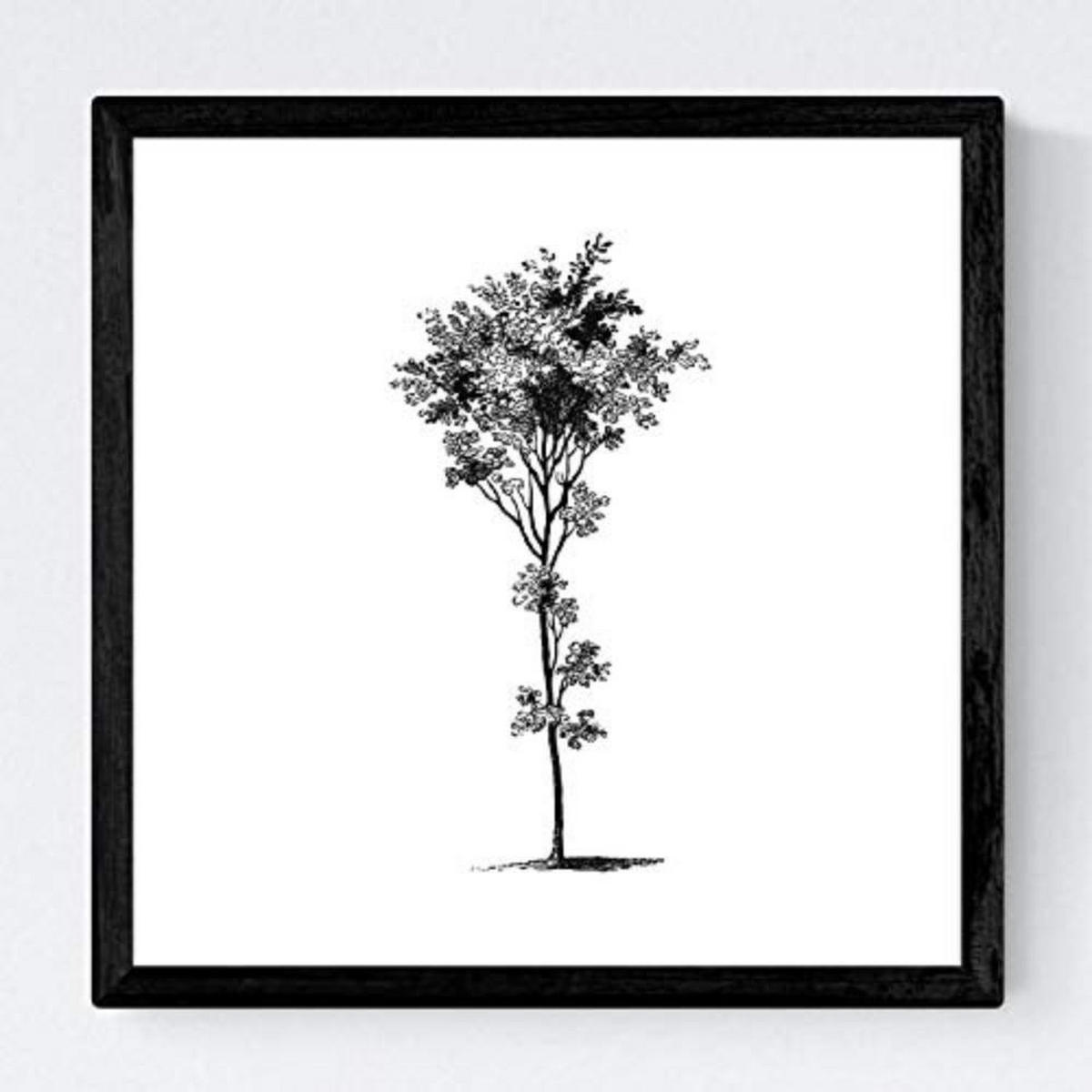 POSTER Set mit 4 Blättern der Baumstämme weißer Hintergrund 20x20cm Schwarzer Rahmen - Schwarz, Papier (20/3cm) - Nacnic