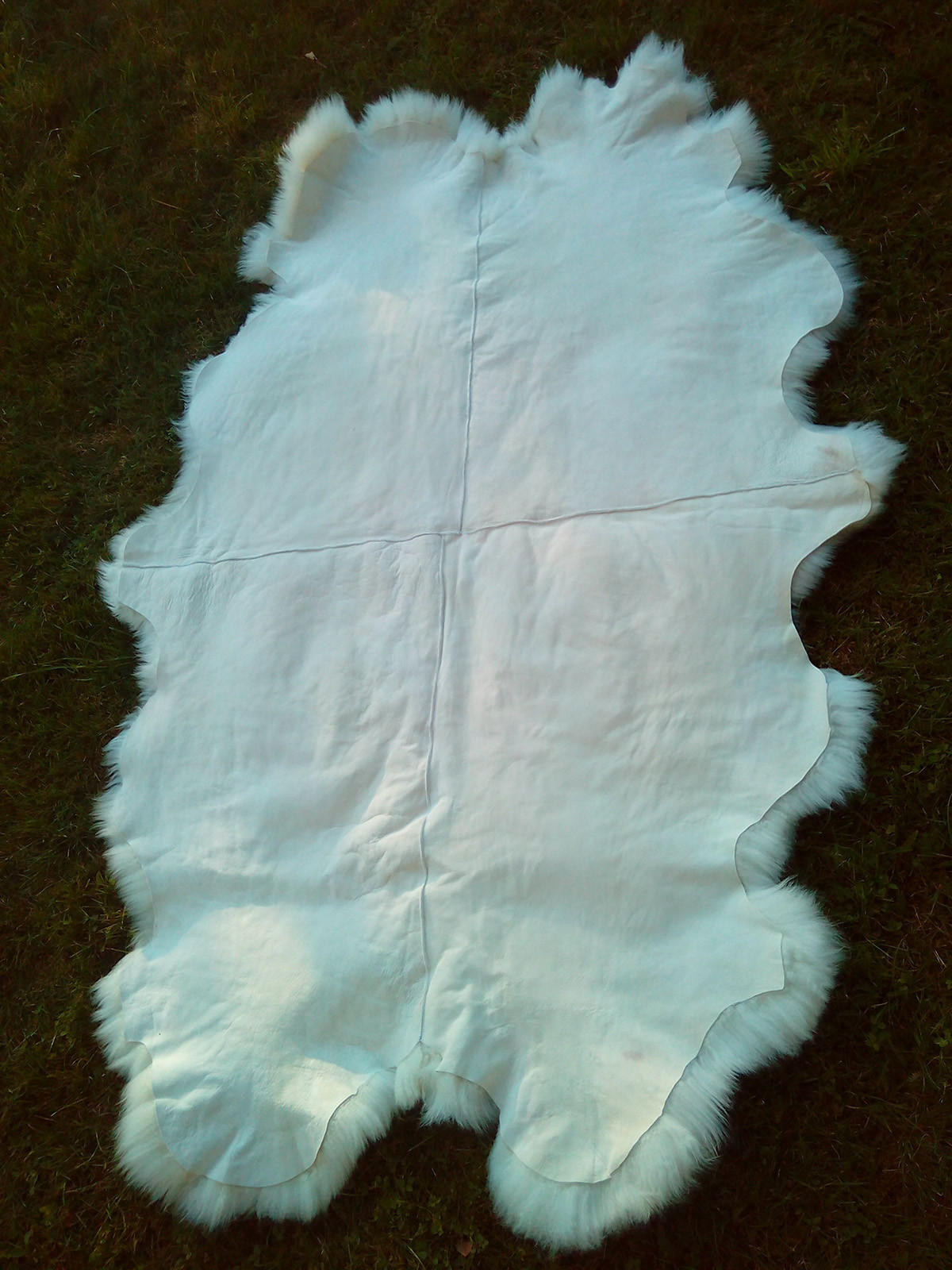 SCHAFFELL Teppich Läufer Naturweiß ca. 180x110 cm vernäht - Weiß, Fell (110/180cm) - Provellus